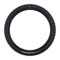 SCHWALBE Albert Gravity Pro MTB Reifen für Downhill | MTB Komponenten
